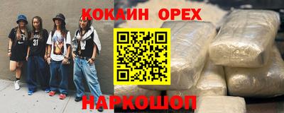 крисы Камышлов