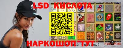 шишки Кандалакша