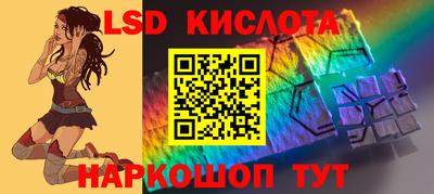 шишки Кандалакша