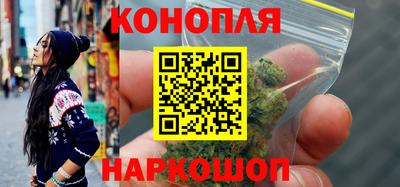 крисы Камышлов
