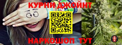 крисы Камышлов