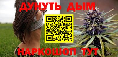 крисы Камышлов