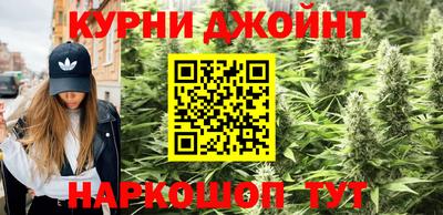 крисы Камышлов