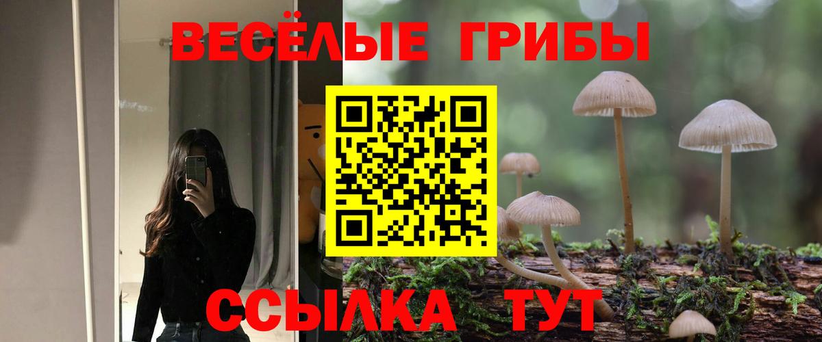 Галлюциногенные грибы GOLDEN TEACHER Мурино