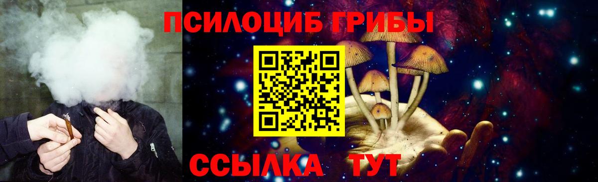 Псилоцибиновые грибы Psilocybe  Галлюциногенные грибы Psilocybe  Вход с VPN  цена   Мурино 
