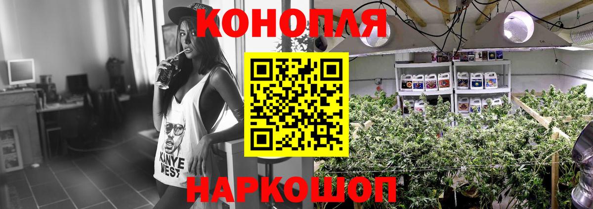 Бошки Шишки индика Мурино